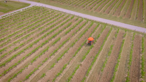 a tractor working in the vineyards grape fields on a sunny day