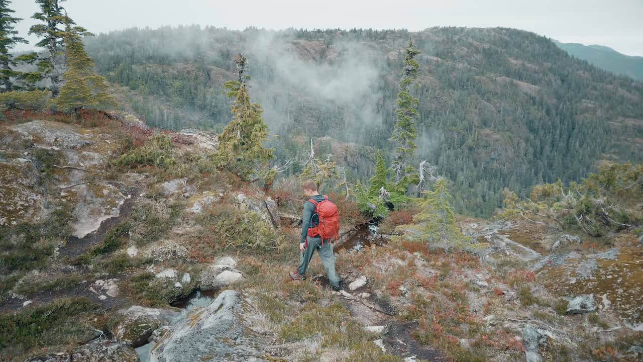 excursionista caminando en el bosque subalpino en las montañas de la isla de vancouver, minnas ridge