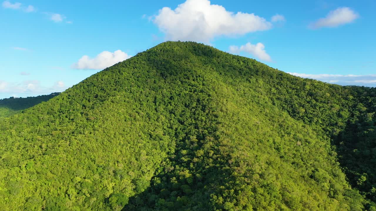 Aerial footage captures the untamed beauty of St. Croix’s forest, with rich tropical greenery spreading across gentle hills, offering a peaceful and immersive view of the island’s wild heart