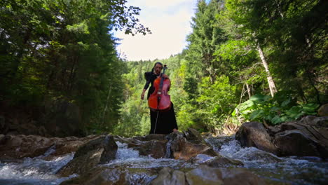 musician woman plays cello on nature background. green trees, mountain river and big rocks.