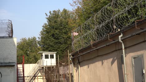 Coils-of-Barbed-Wire-on-Top-of-a-Fence