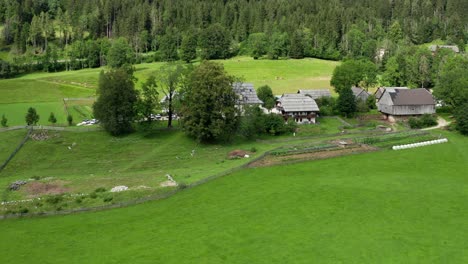 idyllic alpine farm in jezersko, slovenia, aerial view