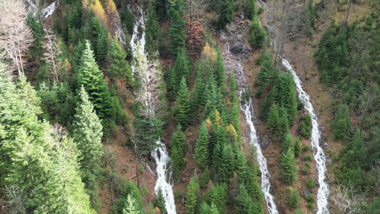 Scenic Waterfall Cascades in Forest