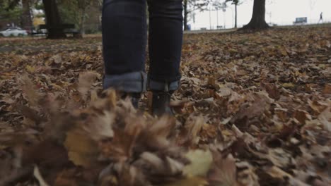 toronto, canada - a person kicking dried maple leaves on the ground while walking in the park - closeup shot