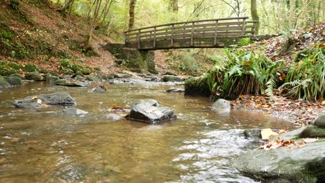 wooden bridge crossing natural flowing stream in autumn forest woodland wilderness low dolly right