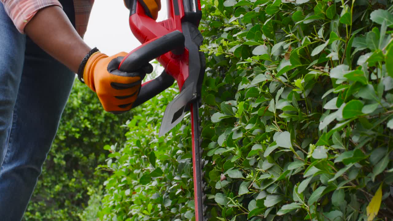 Afro-Amerikaanse man start rode heggenschaar, snoeit heg en vormt tuin, draagt oranje handschoenen