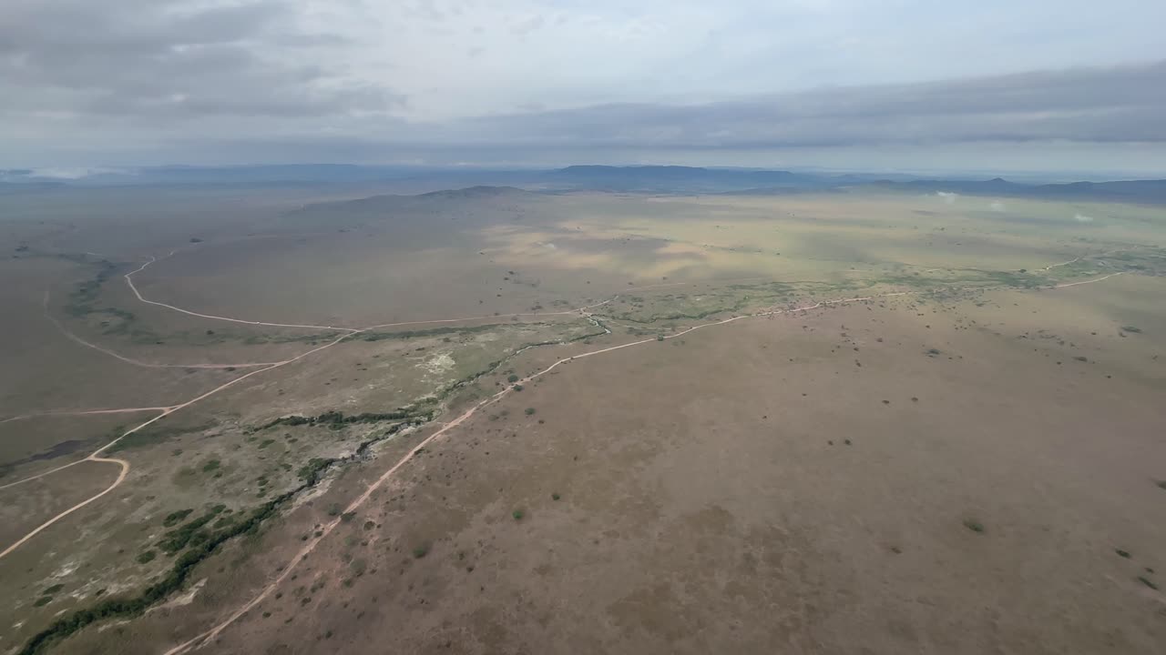 панорама с воздуха с некоторыми дорогами в национальном парке серенгети в туманное утро. танзания.