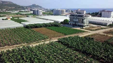 coastal agricultural area with greenhouses and residential buildings