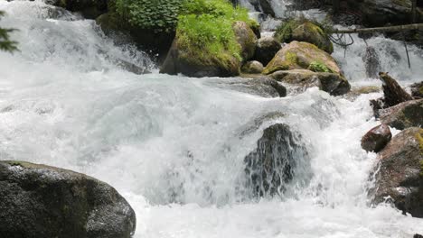 Mountain-River-in-the-wood-in-slow-motion.-Beautiful-wildlife-landscape.