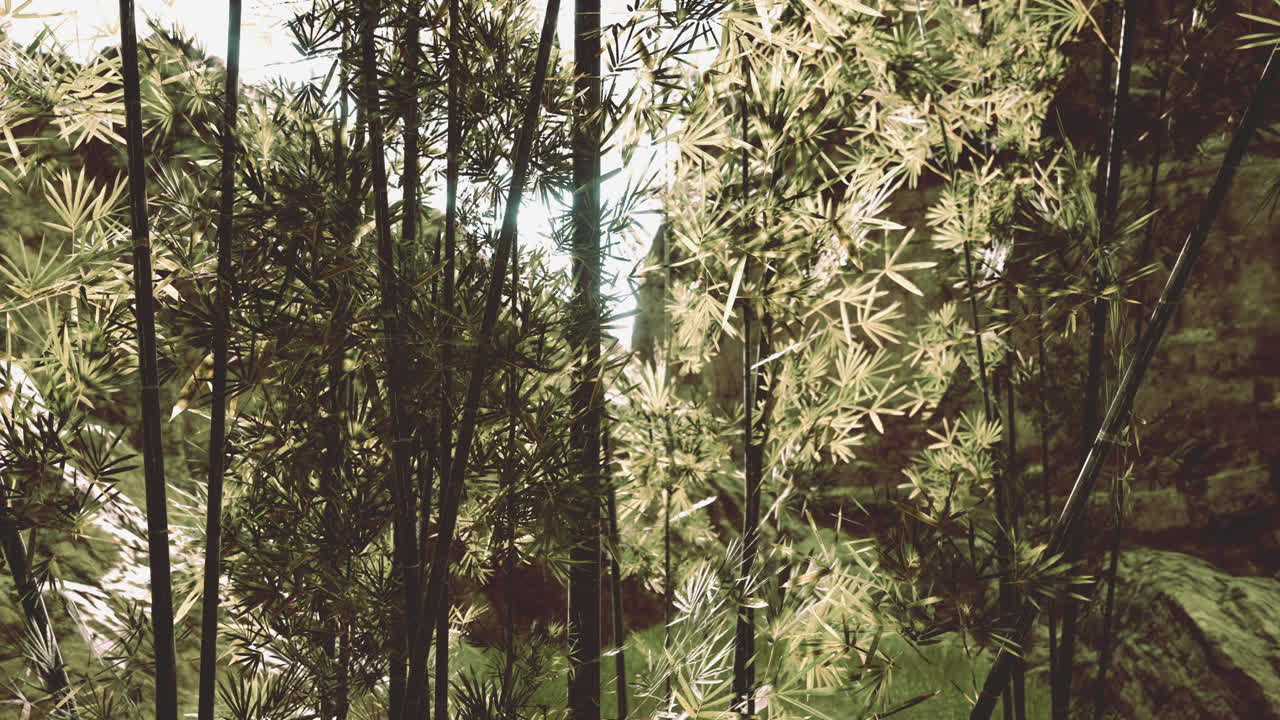bambú verde en la niebla con tallos y hojas