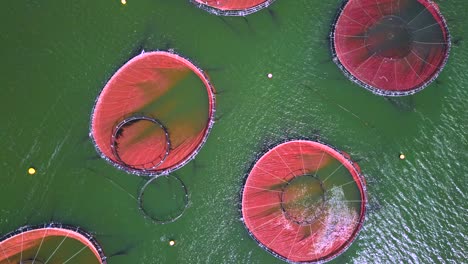 aerial view of fishing farming nets