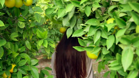 Girl-walking-orange-trees-in-garden