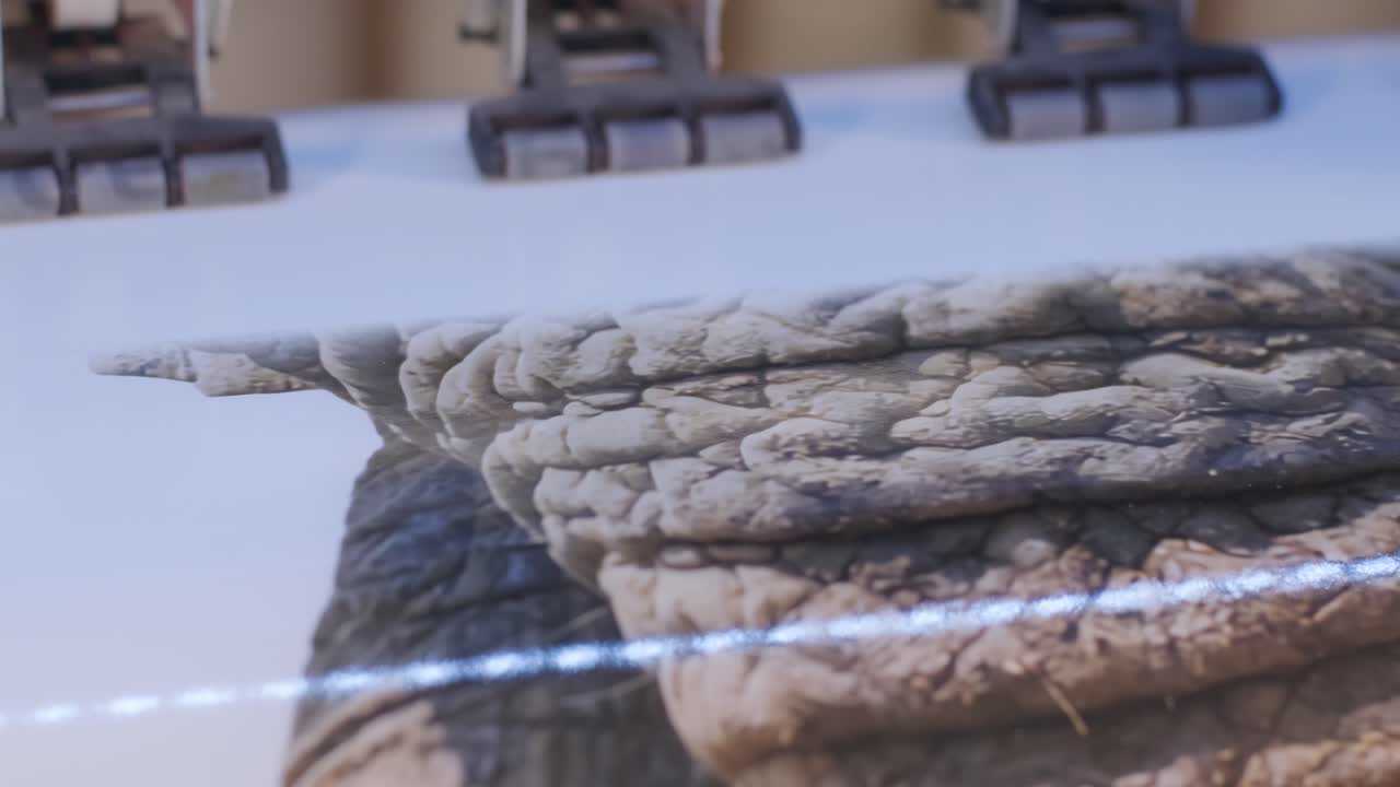 스트레치 천장에 대한 대형 인쇄