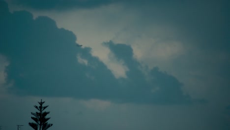 a scenic shot of a flying airplane between sliding clouds, dark blue sky, stormy weather, middle east tel aviv, israel, moving tree, sony 4k video