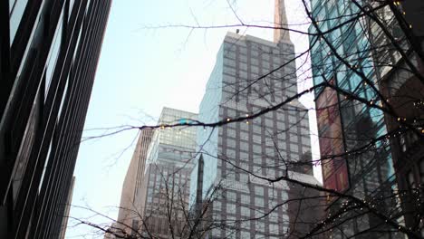 Großes-Gebäude-In-New-York-Mit-Bäumen-Auf-Der-Straße-An-Einem-Sonnigen-Tag