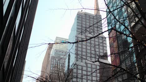 big building in nyc with trees on the street on a sunny day