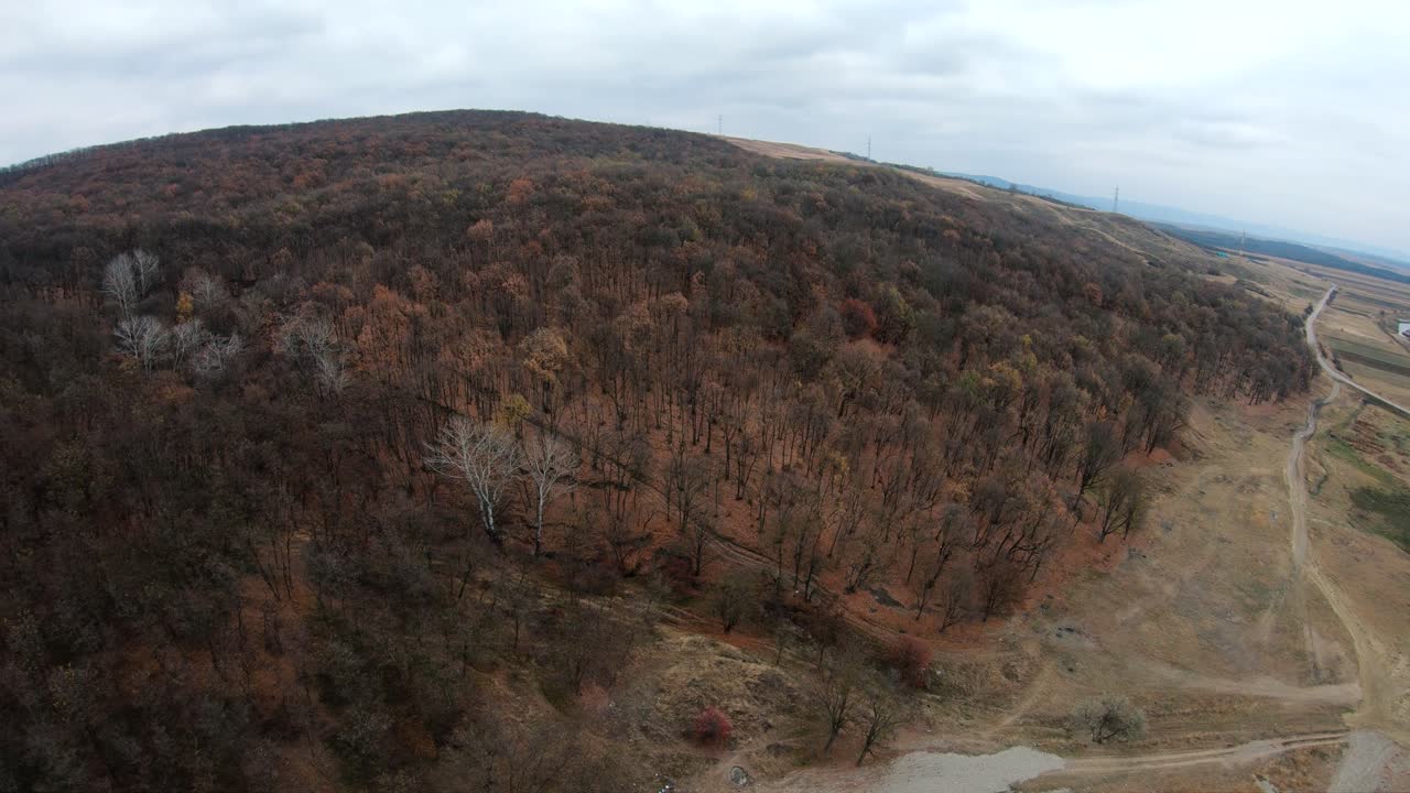 Autumn Colors. Aerial footage of the forest