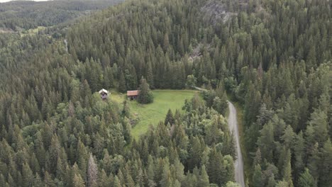 Norwegian-forest-with-house-and-roads