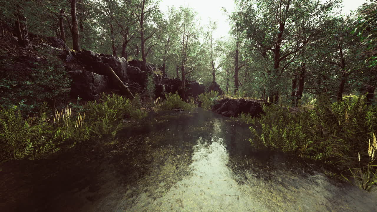 Exploration of a tranquil forest oasis with serene waters and lush greenery