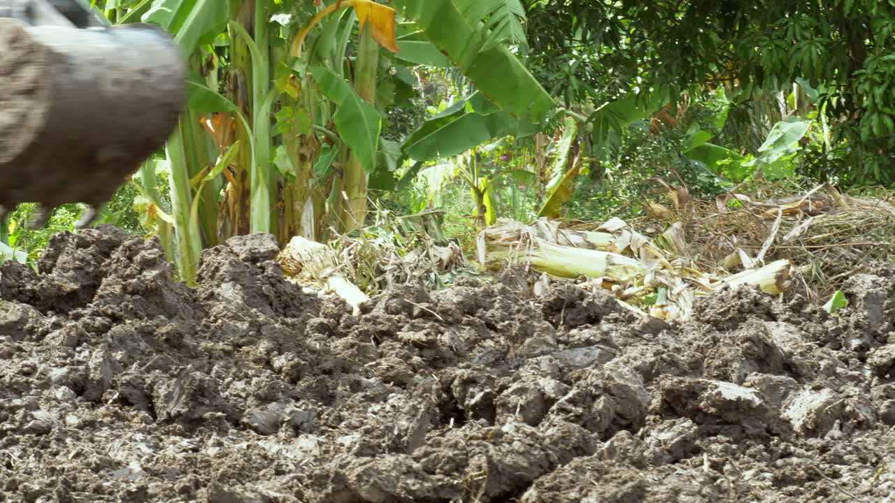 Scavare e arare un campo vuoto usando una terna per prepararlo alla costruzione e alla semina