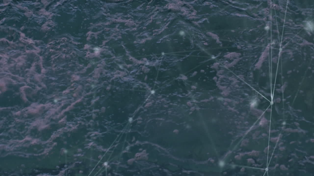 animación de la red de conexiones a través de la natación de nadadoras en forma