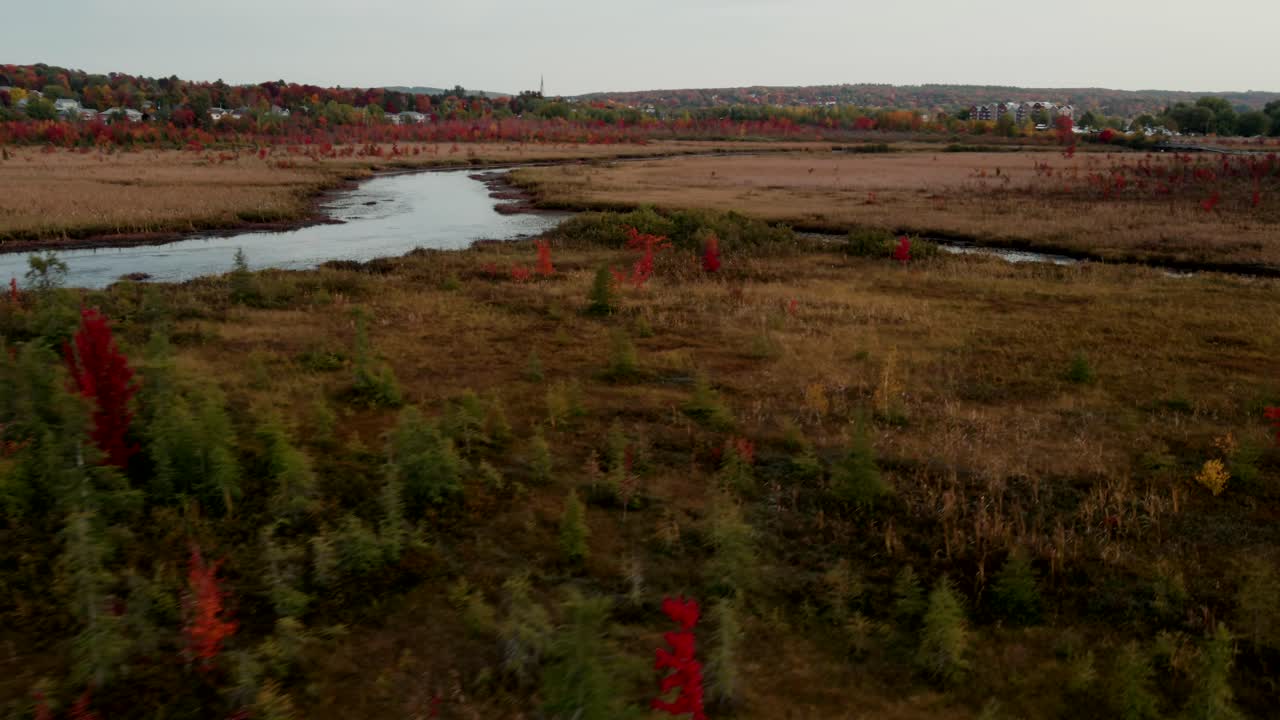 paisaje de pradera dorada junto a las tranquilas aguas de cours d'eau shonyo hasta el lago memphremagog en los municipios del este, quebec, canadá