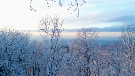 drone flying through trees covered in snow at sunset