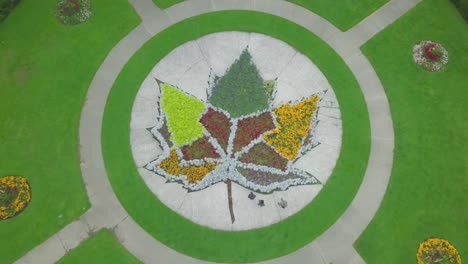 aerial stable shot of colorful canadian maple leaf in public garden