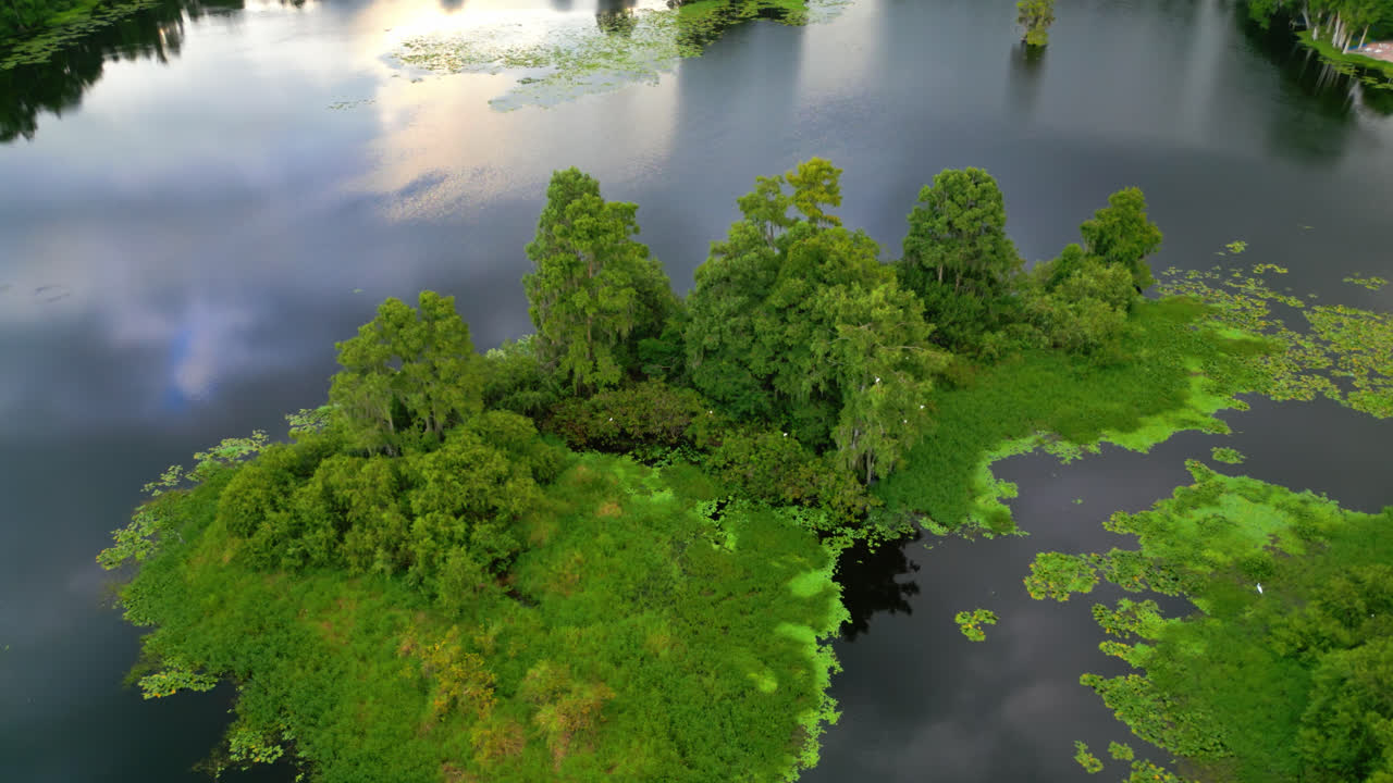 Green Trees On The Islet In Hillsborough River With Calm Water in Florida, USA. - aerial orbiting left shot