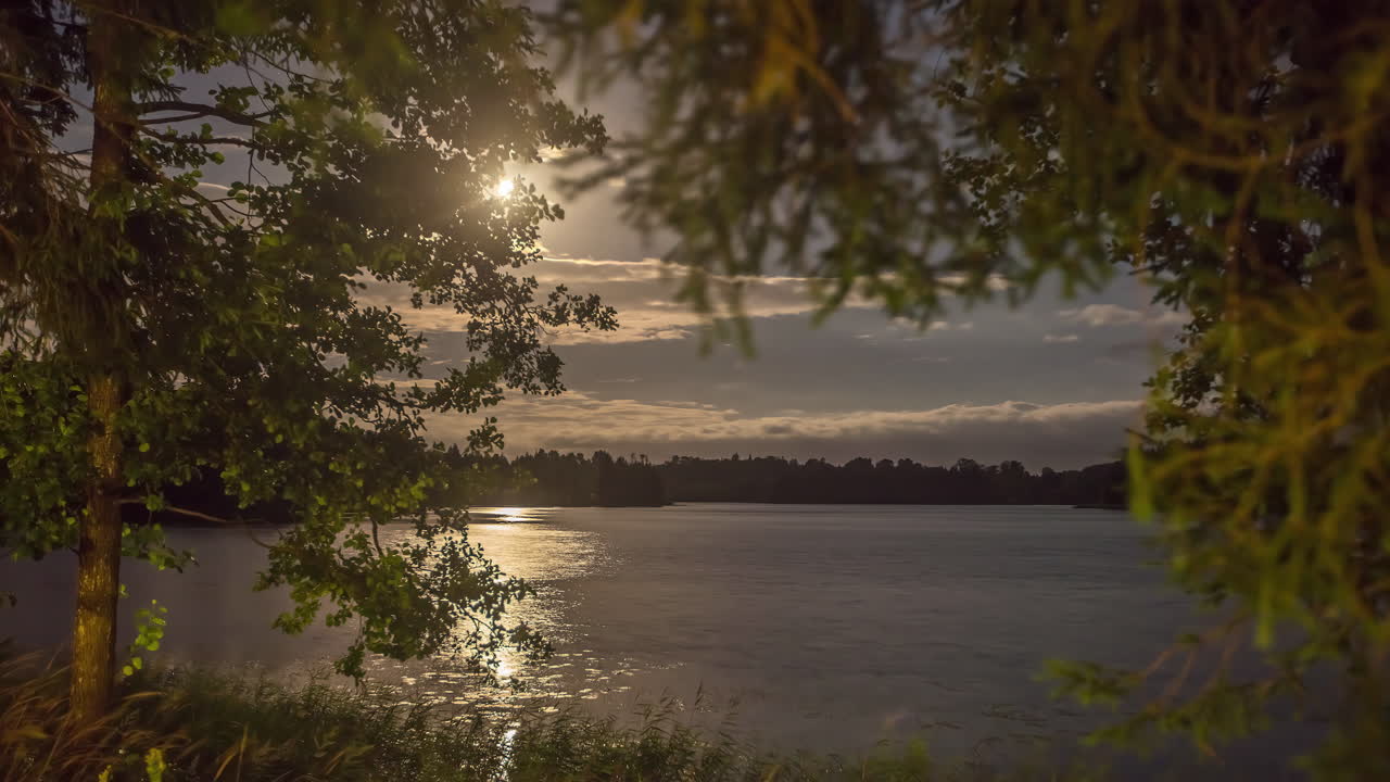 Sequência em time-lapse do nascer do sol sobre um lago natural e árvores da floresta em um dia nublado pela manhã
