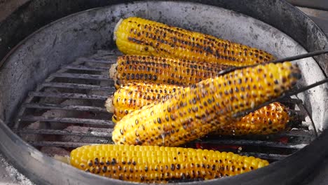 grilled corn on the cob