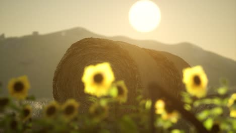 fardos de heno en la puesta de sol