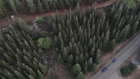 vista aérea de la carretera de montaña en el bosque en la temporada de otoño vista superior desde el dron de la carretera curva paisaje colorido con carretera curva hermosos árboles con hojas de naranja en otoño viajes asia israel, katzir