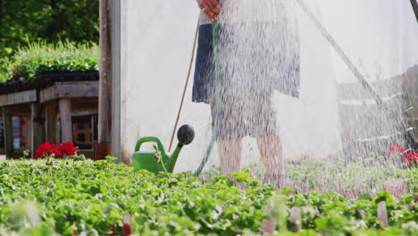 primer plano de la mujer que trabaja en el centro de jardinería regando plantas en el invernadero