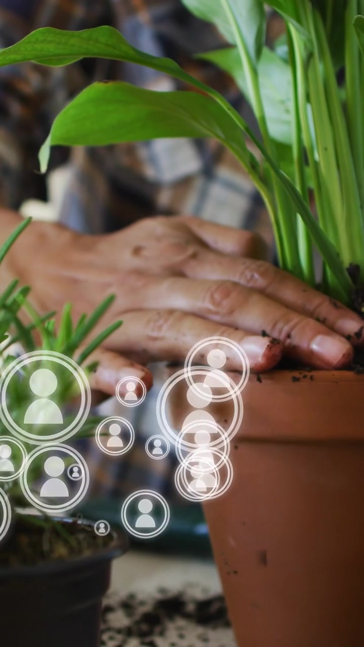 Donna che scava la terra in un vaso di argilla per rinvasare per il giardinaggio, con icone animate di persone che fluttuano intorno al vaso.