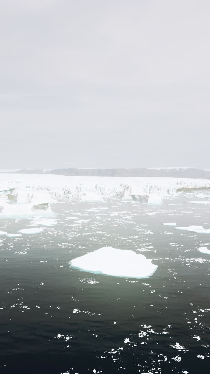 Impresionante Vista Aérea de Icebergs en el Ártico o la Antártida