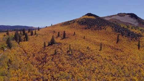 colores de otoño en la cumbre de sage hen en el condado de mono, california - toma aérea de drones de otoño en la sierra oriental