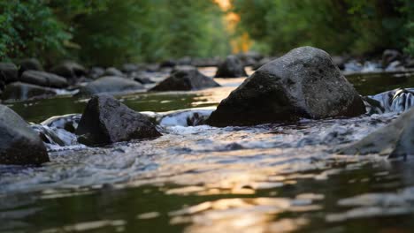 gentle stream flowing over rocks