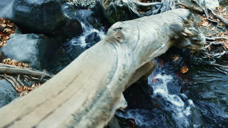 arroyo de montaña con agua clara en la reserva natural de otoño. agua dulce de manantial