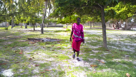 african maasai man in traditional clothing walking in palm grove