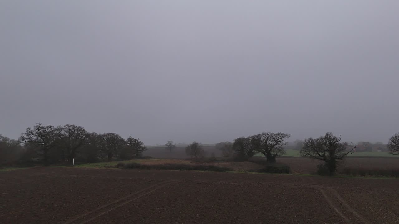Alberi in un campo agricolo inglese in una sera nebbiosa e cupa. Ripresa aerea panoramica con drone.