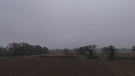 trees in english farm field gloomy foggy evening panning drone aerial