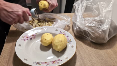 person peeling potatoes with peeling tool, close up