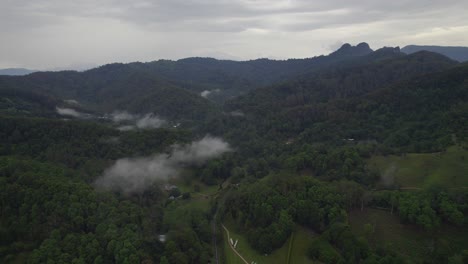 Currumbin-Creek-Road-Surrounded-By-Lush-Rainforest-In-Gold-Coast-Hinterland,-Queensland,-Australia