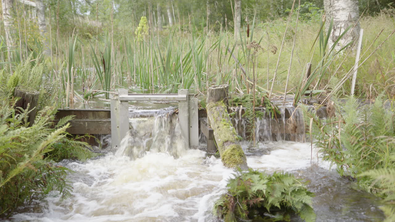 River water overflows wooden weir used to build natural pond, hydrology