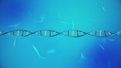 yellow and red dna strand animation on light blue looping background