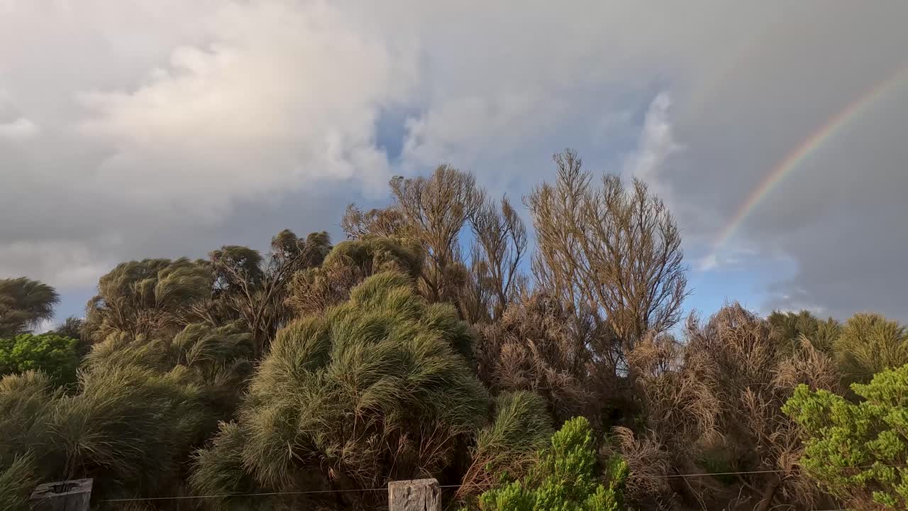 울창한 오스트레일리아 덤불 위의 무지개 아치