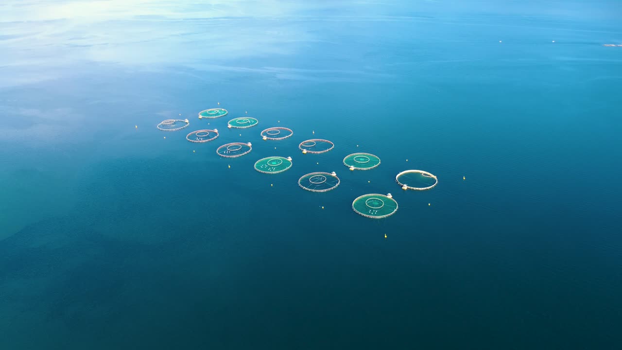 노르웨이에서 연어  ⁇ 시를 하는 공중 촬영