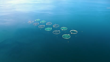 imágenes aéreas de granjas de pesca de salmón en noruega