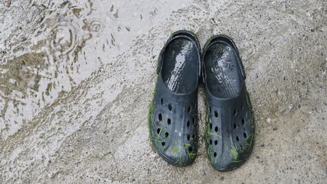 wet garden clogs on concrete